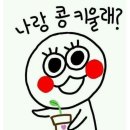 디디다 이미지