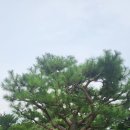 억만농장 이미지