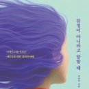 불리한 시바 조선일보