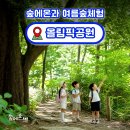 숲에온 | 어린이 여름 숲체험 추천! 올림픽공원 숲에온아이들 자연 체험 학습 35,000원
