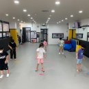 용인대 수 합기도장 이미지