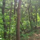 주봉보건진료소 이미지