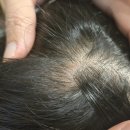 BLS(비엘에스)의원 이미지