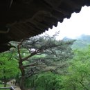 [(맛집)] 문경에 가면 입맛이 돈다, 문경 삼시세끼 이미지