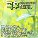 🍃 오늘은 봄의 마지막 절기인 곡우(穀雨) 입니다 이미지