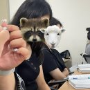 써드아이엠 | 대학생학대는 거꾸로 해도 똑같아요 교수님.