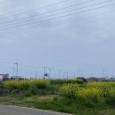 풍차와해넘이 이미지