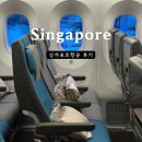 BUSINESS NETWORK CLUB | 싱가포르항공 SQ607 와이파이 연결 보잉787 좌석 추천 기내식