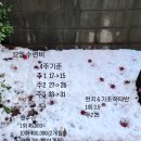 요가위드사라