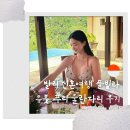 푸리샵 | 발리 우붓 풀빌라, 신혼여행에 딱인 정글뷰 푸리 울란다리 후기