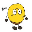 Dr.펫 네이버블로그