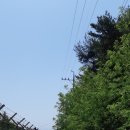 육신사(구) Daum카페