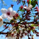 하늘뜰 농장 이미지