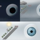 세이프비 이미지