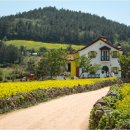 햇살이네 이미지