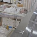 오즈산후조리원 이미지