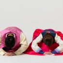 건강제일의원 이미지