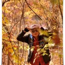 흙과소나무 이미지