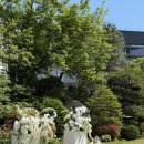 감사원 | [감사원] 공공기관에서 열린 꿈같은 결혼식 후기 | 들꽃웨딩 | 공공기관 베뉴 | 야외결혼식 | 웨딩디렉팅