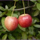 미래비젼 이미지