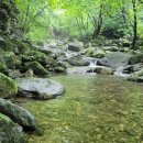 숲과계곡속으로 이미지