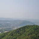 배모루 이미지