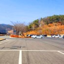 우륵박물관 이미지