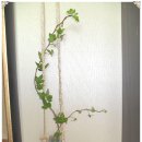 행자네집 이미지