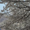 호수언저리