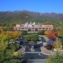 과천시청 내 네이버블로그