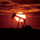 주식회사 온더짐 이미지