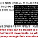 해외에서 그야말로 경악중인 한국 남성의 생리 조롱 이미지