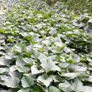 한마음기획 이미지