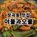 야불과오불