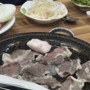 소원축산 | 25년 12월 일상블로그(1) 요거트월드 두바이 인터불고 뷔페 무역의날 수상 닷사이