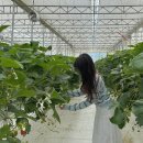 청결농장 이미지