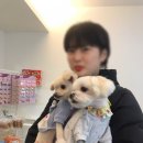 개등드리# 이미지