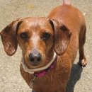 강남동물병원 이미지