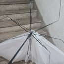 다이소 우산 후기 이미지