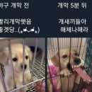 야구와사람들