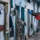 바보기계 이미지