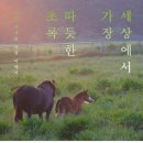 말미목장 한겨레