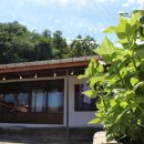 오분길민박 이미지