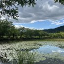 사림동154 이미지