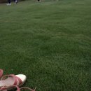 장성잔디생산자영농법인 | 푸르른 장성잔디의 매력에 빠지다.