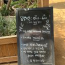 녹차농원 | 원평허브농원 방문 후기