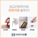 광교리본한의원 티스토리
