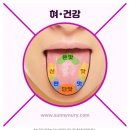 ﻿Tongue Taste Areas Diagram(혀가 느끼는 맛의 위치) / ﻿Structure of Tongue(혀의 구조) 이미지