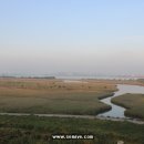 하단동1212 이미지