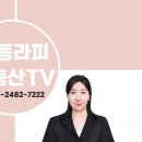 에코몽